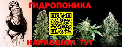 дживик Гатчина