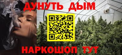 дживик Гатчина