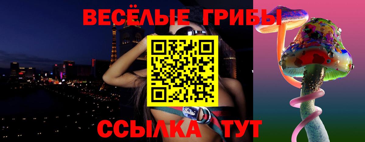 Псилоцибиновые грибы Psilocybe  цена   Галлюциногенные грибы мухоморы  Менделеевск  Вход с VPN 