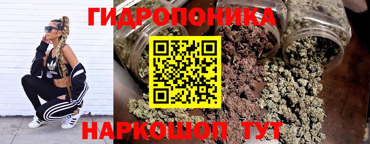 Марихуана тримм  Шишки марихуана White Widow  Марихуана THC 21%  Бошки Шишки AK-47  Менделеевск  Вход с VPN 